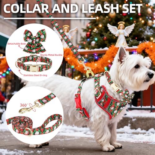PUPTECK Christmas Dog Harness Collar and Leash Set with Gift Box, No Pull Soft Light Pet Harness, Reflective Adjustable Puppy Vest, for Small Sized Dogs Cats Walks, Red&Green XS - Image 3