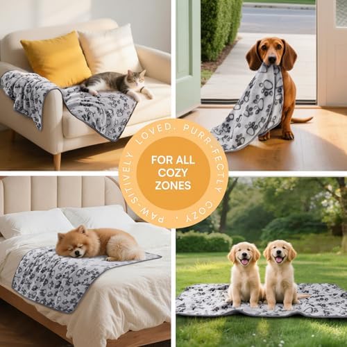 Luciphia 1 Pack 6 Dog Blankets Cat Soft Fluffy Fleece Pet Blanket Warm Cute Print Design Puppy Kitten Doggy Paw Grey Large(41"x31") - Image 3