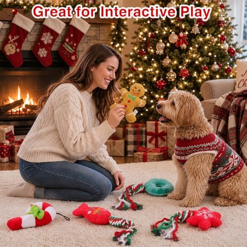 Soulchen 10 Pcs Christmas Dog Toys Plush Squeaky Puppy Toy - Image 6