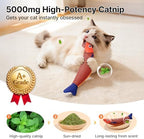 Potaroma Cat Toys Saury Fish, 3 Pack, Catnip Crinkle Sound, Soft and Durable, Interactive Kitten Kicker for Indoor Kitty Exercise 9.4 Inches for All Breeds - Image 2