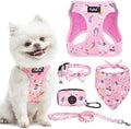 PUPTECK Dog Harness, Collar and Leash Set No Pull for Small Medium Sized by PUPTECK