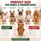 Christmas Hedgehog Squeaky Dog Toy for Small & Medium Dogs, Soft Plush Stuffed Puppy Toy with Built-In Squeaker, Interactive Indoor Play Toy for Gentle Chewers, Machine Washable Holiday Dog Gift - Image 4