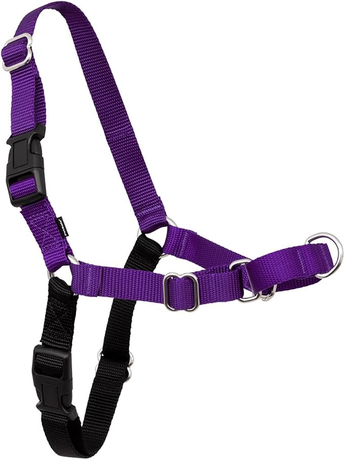 PetSafe Easy Walk Harness for Dogs - Pull-Free Walks - Patented Martingale Loop Design - Front Chest Leash Attachment - Comfort Straps - Breathable Harness Design - Medium/Large, Black/Silver
