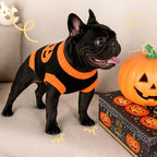 Halloween Dog Sweater Costumes for Small Medium Dogs Adorable Festival Pattern Pumpkin Sweater Turtleneck Knitted Pet Puppy Clothes Soft Warm Cold Weather Dog Halloween Costume Party Outfit - Image 2