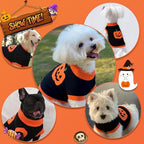 Halloween Dog Sweater Costumes for Small Medium Dogs Adorable Festival Pattern Pumpkin Sweater Turtleneck Knitted Pet Puppy Clothes Soft Warm Cold Weather Dog Halloween Costume Party Outfit - Image 6