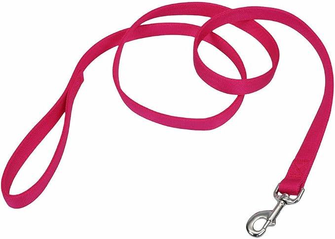 Coastal Pet Double-Ply Dog Leash - Bolt Snap Attachment to Collars and Harnesses - Nylon Dog Walking Leash for Small, Medium and Large Dogs - Pink Flamingo - 1" x 6'