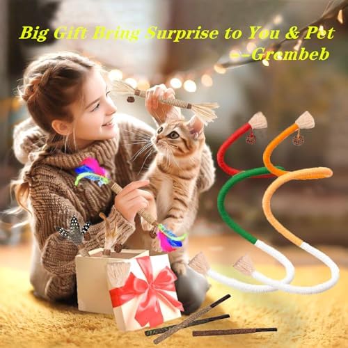Cat Toys 21PCS Mix Catnip Chew Rope Silvervine Stick for Indoor Cat - Image 6
