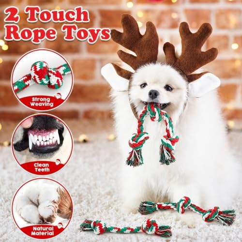 Christmas Dog Toys 9 Pack, Luxury Santa Puppy Chew Toy, Cotton Squeaky Plush Toys for Small Dogs, Durable Interactive Rope Treat Dog Ball and Bones, Rubber Teething Toys for Dogs Gifts - Image 6