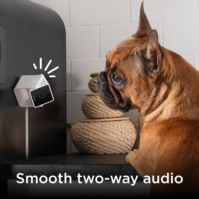 Petcube Cam (3-Pack) – Indoor Wi-Fi Home Security Camera with App | 1080p HD, two-way audio, motion detection, night vision, baby & pet monitor. Includes 3 cameras