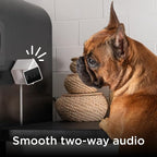 Petcube Cam (3-Pack) – Indoor Wi-Fi Home Security Camera with App | 1080p HD, two-way audio, motion detection, night vision, baby & pet monitor. Includes 3 cameras