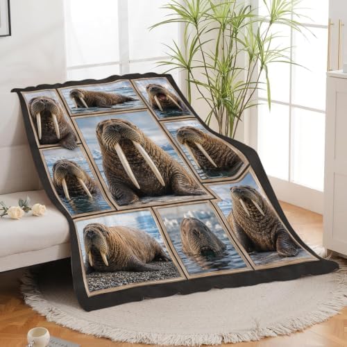 Walrus Blanket, Arctic Animal Throw Gift for Kids Adults 80"X60" - Image 4