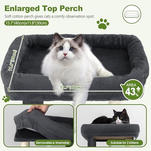 Small Cat Tree Tower for Indoor Cats, 40 in Medium Cat Bed Scratching Posts - Image 2