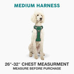 Embark Adventure Medium Dog Harness – No-Pull, Reflective Trim, Military-Grade Nylon, Front Clip with Gel-Lined Handle