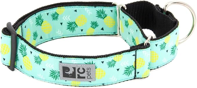 RC Pets 1-1/2 Inch All Webbing Martingale Training Dog Collar, Medium, Pineapple Parade