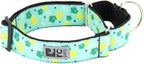 RC Pets 1-1/2 Inch All Webbing Martingale Training Dog Collar, Medium, Pineapple Parade