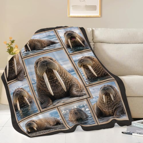 Walrus Blanket, Arctic Animal Throw Gift for Kids Adults 60"X50" - Image 2