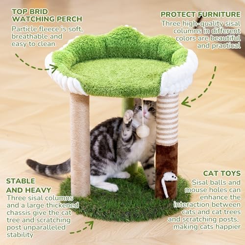 Woochpet Cat Scratching Post with Cat Bed,Cat Scratcher Tree,Small Cat Tree - Image 5