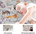 Dog Type Blanket, Dog Alphabet Truck Blankets, Gift for Girls Dog Type Lover, 60"x80" Soft Lightweight Plush Throw Blanket for Couch Bed Sofa Decoration - Image 4