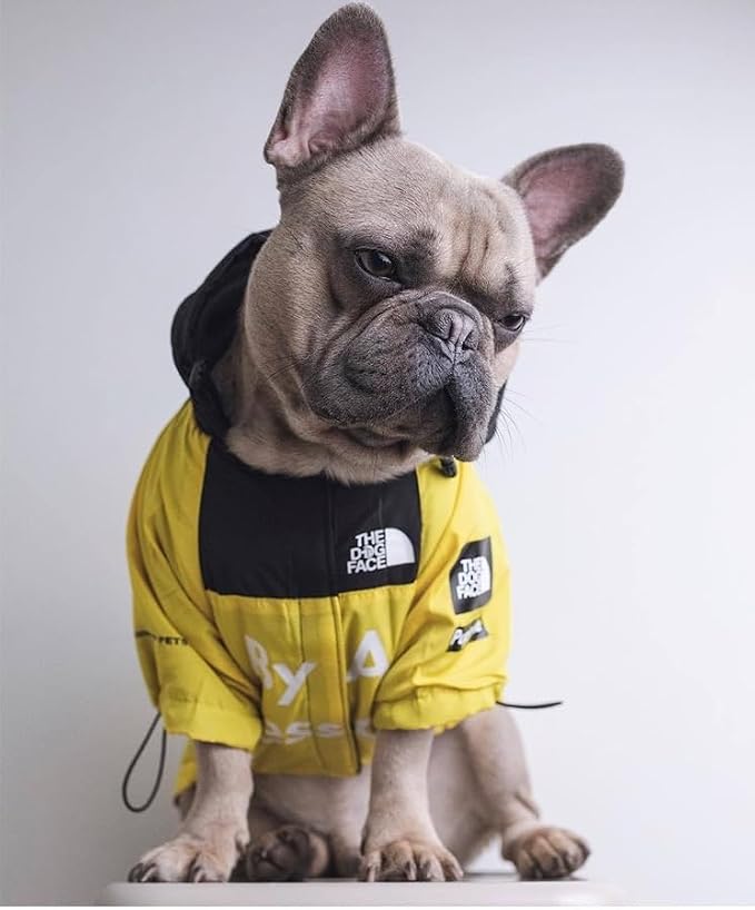 Dog Raincoat Rain Jacket,Slicker Poncho Adjustable Waterproof Dog Raincoat with Leash Hole/Reflective Words Hooded Snowproof Windproof Clothes for Small to 2X-Large Dogs (Yellow, X-Large)