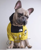 Dog Raincoat Rain Jacket,Slicker Poncho Adjustable Waterproof Dog Raincoat with Leash Hole/Reflective Words Hooded Snowproof Windproof Clothes for Small to 2X-Large Dogs (Yellow, X-Large)
