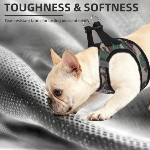 PUPTECK Dog Harness, Collar and Leash Set No Pull for Small Medium Sized - Image 6
