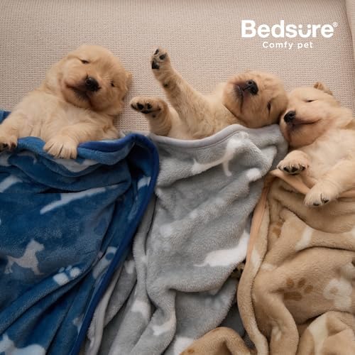 Bedsure Dog Blanket for Small Dogs Puppy, Flannel Fleece, 3-Pack 30x20 - Image 2
