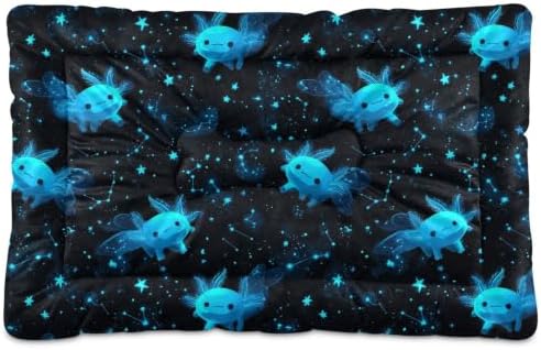 Cartoon Galaxy Axolotl Dog Bed Mat 18"x24" by Mazeann