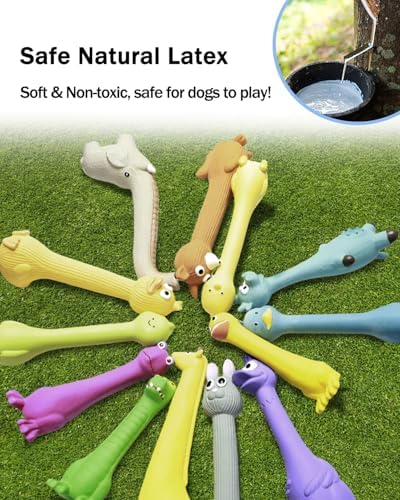 SCHITEC Squeaky Dog Toys, [2 Pack] Squawking Latex Toy with Interactive Squeaker, Squeak Rubber Duck Chicken for Medium Small Dogs - Image 3
