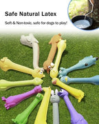 SCHITEC Squeaky Dog Toys, [2 Pack] Squawking Latex Toy with Interactive Squeaker, Squeak Rubber Duck Chicken for Medium Small Dogs - Image 3