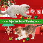 Christmas Cat Toys, 10 Pack Catnip & Feather Toys for Indoor Cats - Image 2