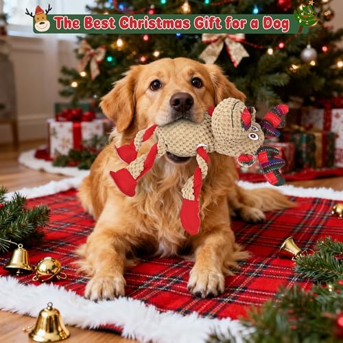 IOKHEIRA Christmas Dog Toys - Squeaky Dog for Small, Medium, and Large Dogs, Holiday Dog Toys with Organic Cotton, 5 Squeakers & Crinkle Papers, Soft Plush for Tug of War - Image 5