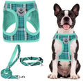 PUPTECK Dog Harness, Collar and Leash Set No Pull for Small Medium Sized by PUPTECK