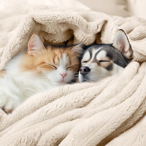 LINENLUX 1 Pack 3 Fleece Dog Blanket Soft Warm Washable for Cat Beige Small - Image 3