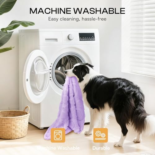 Luciphia Soft Small Dog Blanket 300GSM Fleece Throw Puppy Cat,41"x31" - Image 5