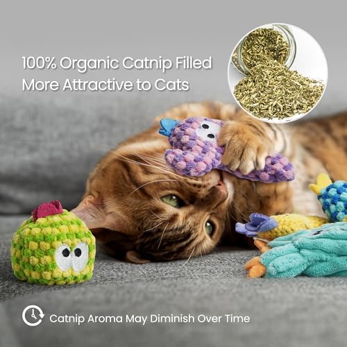 Pawsible 5 Pack Cactus Catnip Toys, 100% Organic Catnip Toys for Indoor Cats, Interactive Plush Chew Fun Without Cotton, Teething Soft Kittens Toys for Kitty, Colorful - Image 5