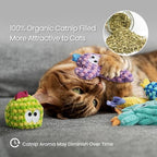 Pawsible 5 Pack Cactus Catnip Toys, 100% Organic Catnip Toys for Indoor Cats, Interactive Plush Chew Fun Without Cotton, Teething Soft Kittens Toys for Kitty, Colorful - Image 5