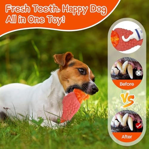 WinTour Tough Dog Toys for Aggressive Chewers, Dog Chew Toys for Large Dogs, Turkey Indestructible Squeaky Dogs Toy to Keep Them Busy - Image 5