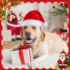 Weewooday 12 Pcs Mini Christmas Santa Hat Scarf Set, Large, Classic Style - Image 7