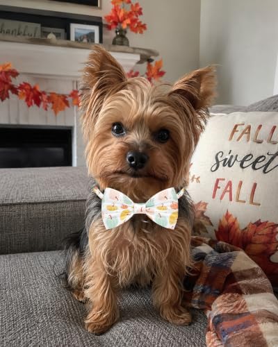 PET SHOW 30 Pack Fall Dog Bowties Bulk for Small Dogs Cats - Image 5