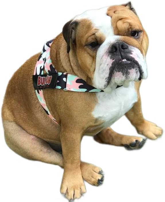 BULLHUG Adjustable Dog Harness– No Pull, No Choke – for English Bulldogs, French Bulldogs, Pugs & Broad-Chested Breeds – Easy, Safe Walks (Pink & Mint Camouflage, Large)