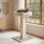Cat Scratching Post with Bed for Indoor Adult Cats, Cat Perch,White - Image 3
