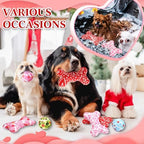 6 Pcs Valentine's Day Dog Toys Puppy Tennis Balls and Dog Squeaky Bone Toys Plush Interactive Pet Toys for Small Medium Large Dog Plush Chew Toys Puppy Training Toss Playing Gift - Image 6