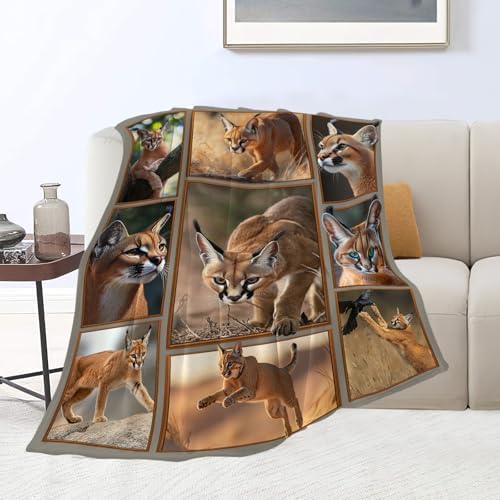 Caracal Blanket African Caracal Animal Lover Throw Blankets Gifts for Girls Boys Kids Soft Cozy Fleece Plush for Couch Sofa Bed 50"x40" - Image 3