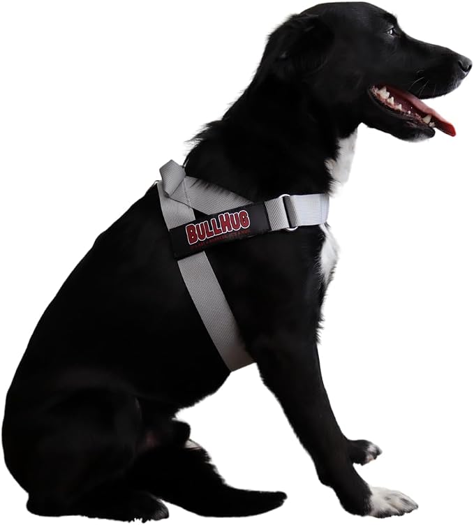 BULLHUG Adjustable Dog Harness– No Pull, No Choke – for English Bulldogs, French Bulldogs, Pugs & Broad-Chested Breeds – Easy, Safe Walks (Silver, Large)