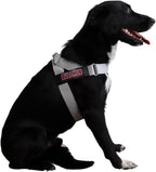 BULLHUG Adjustable Dog Harness– No Pull, No Choke – for English Bulldogs, French Bulldogs, Pugs & Broad-Chested Breeds – Easy, Safe Walks (Silver, Large)