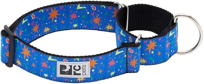 RC Pets All Webbing Training Collar L Popstar