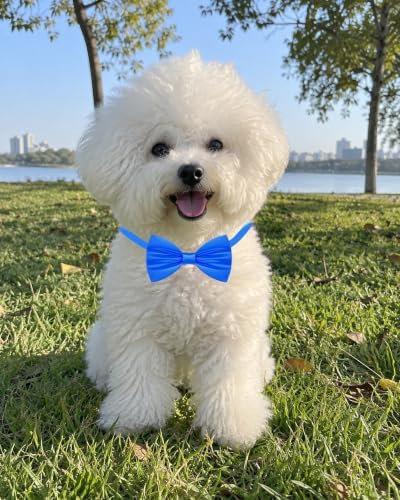 PET SHOW 30 Pack Small Dog Bowties Bulk Solid Colors - Image 6