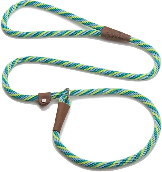 Mendota Pet Slip Leash - Dog Lead and Collar Combo - Made in The USA - Seafoam, 3/8 in x 4 ft - for Small/Medium Breeds