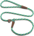 Mendota Pet Slip Leash - Dog Lead and Collar Combo - Made in The USA - Seafoam, 3/8 in x 4 ft - for Small/Medium Breeds