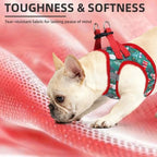 PUPTECK Christmas Dog Harness, Collar and Leash Set No Pull for Small Sized - Image 6